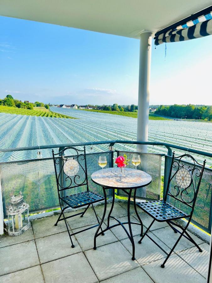 Panorama Domizil Ravensburg Mit Alpenblick Balkonアパートメント エクステリア 写真